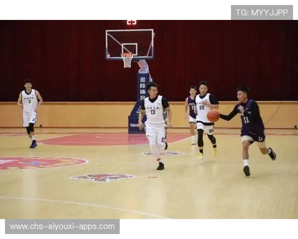 篮球文化在中国港口城市中的传播优势,篮球在我国的传播与发展 篮球文化在中国港口城市中的传播优势,篮球在我国的传播与发展